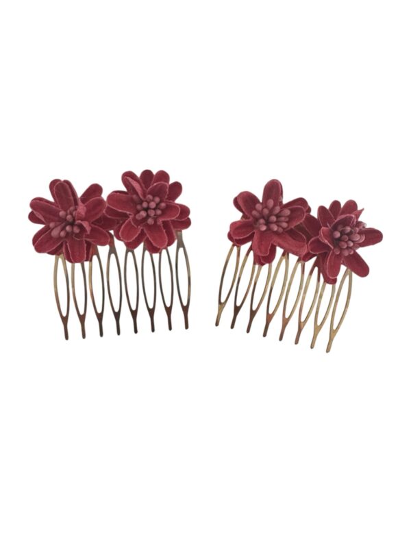 PEINAS FRAMBUESAS