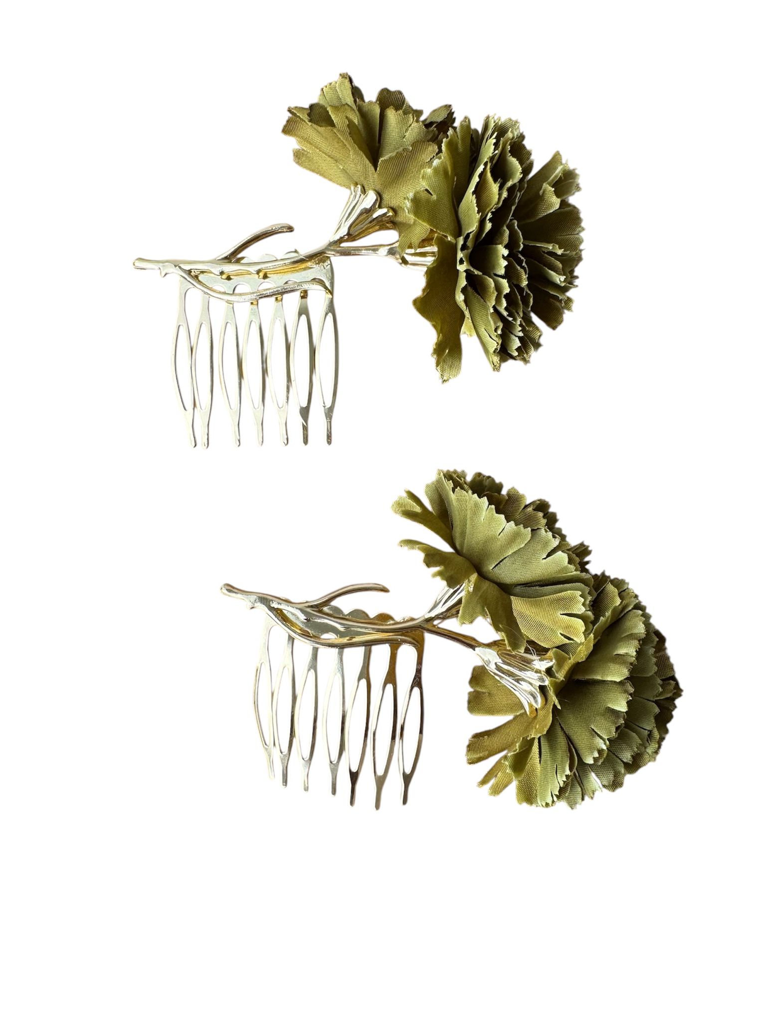 WhatsApp Image 2026-03-04 at 11.06.08 (1)