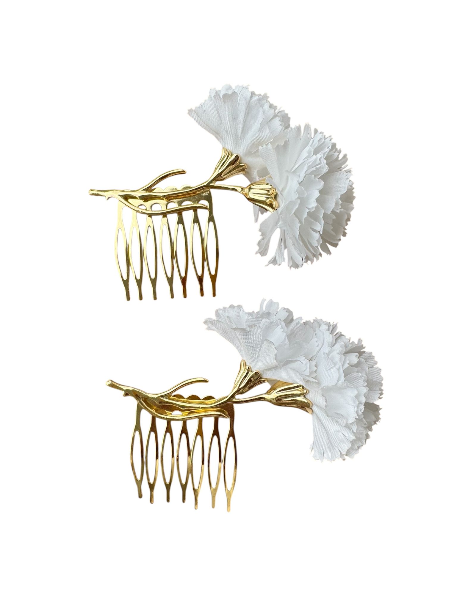 WhatsApp Image 2026-03-04 at 11.06.08